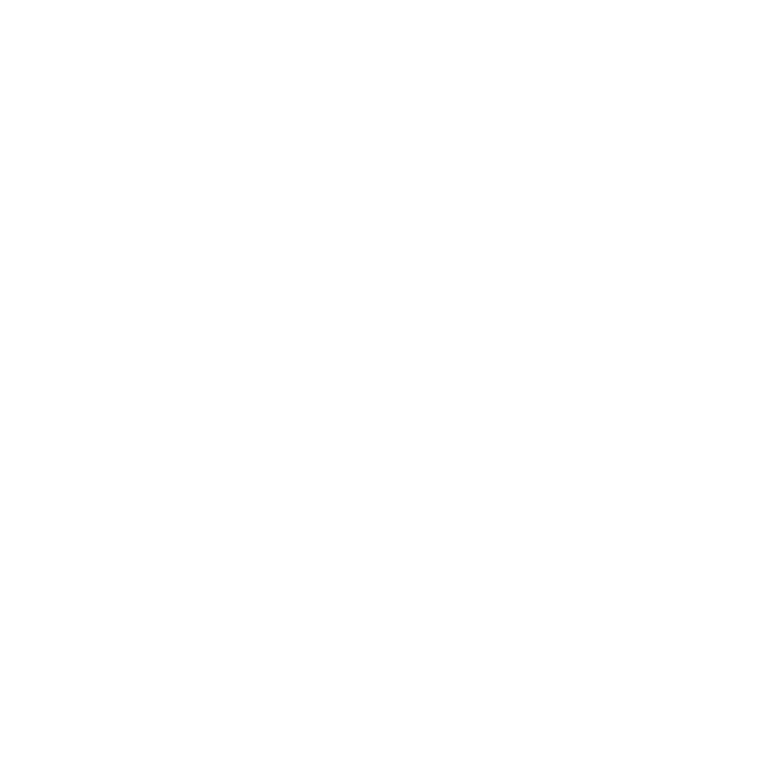 STASHER